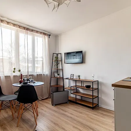 公寓 Boyana Loft - *