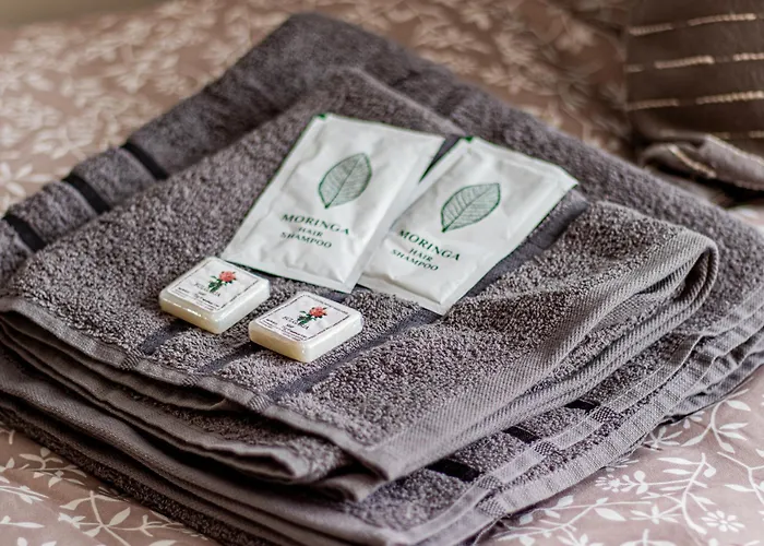 Lejlighed Boyana Loft -