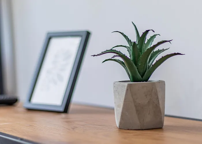 Apartmán Boyana Loft -