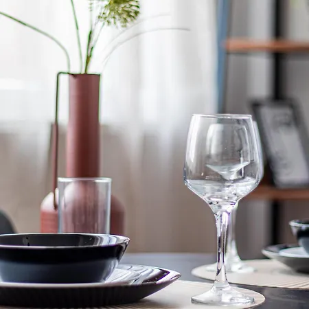 Boyana Loft - Apartment Sofia